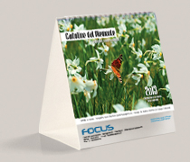 Calendario canavese 2013