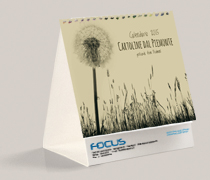 Calendario canavese 2015